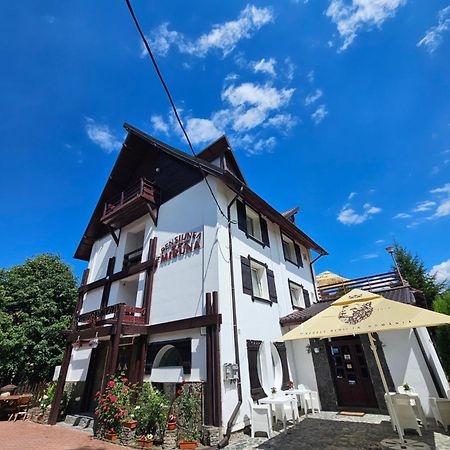 Pensiunea Miruna Hotel Moieciu de Jos Bagian luar foto