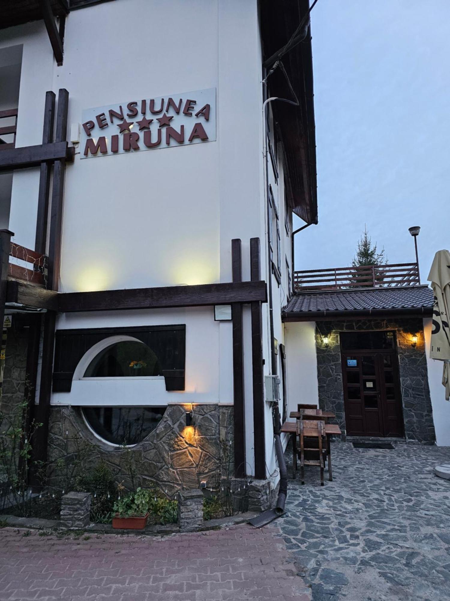 Pensiunea Miruna Hotel Moieciu de Jos Bagian luar foto